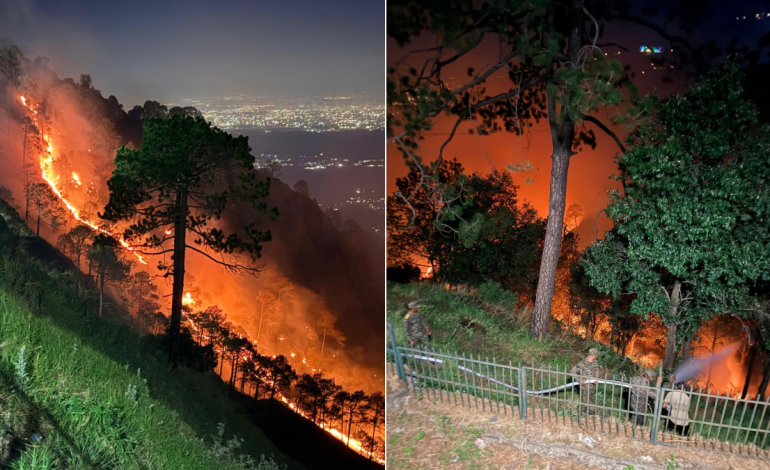 Army, IAF Battle Massive Forest Fire in Himachal’s Kasauli