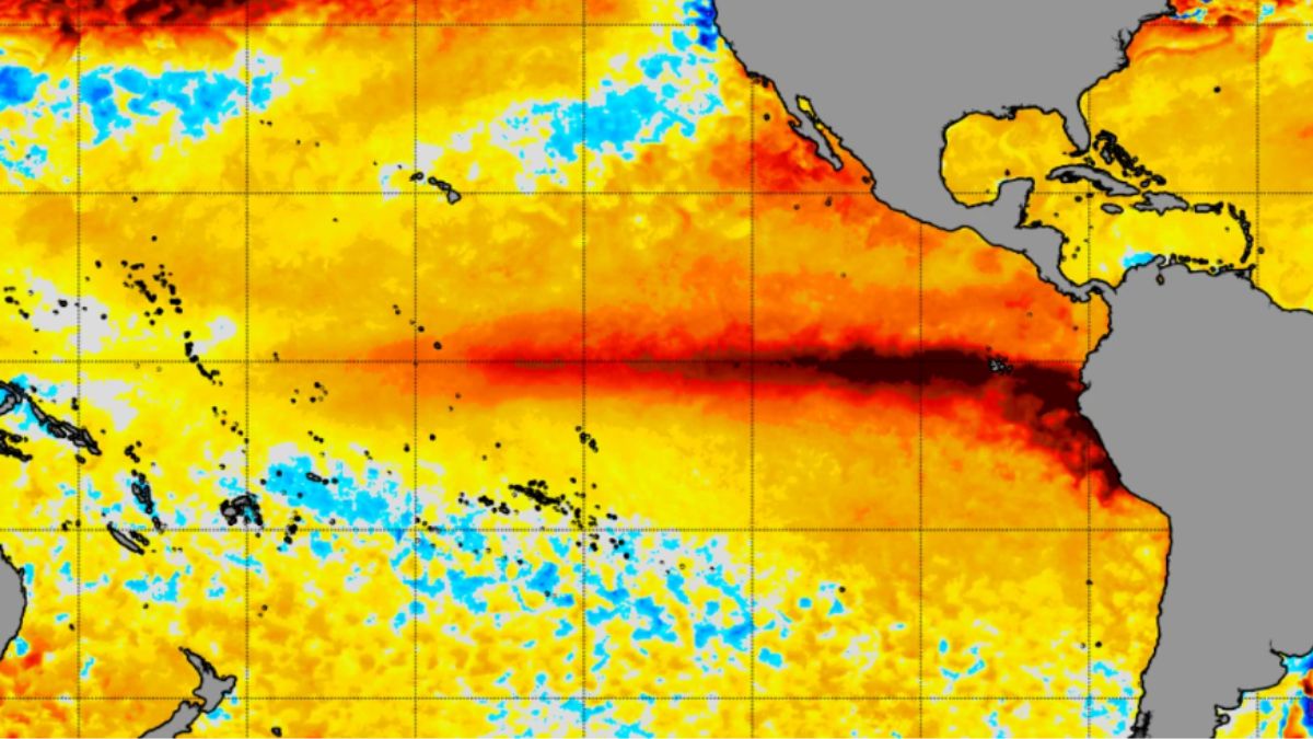 El Niño set to be the strongest in over a century. Here’s how it affects India