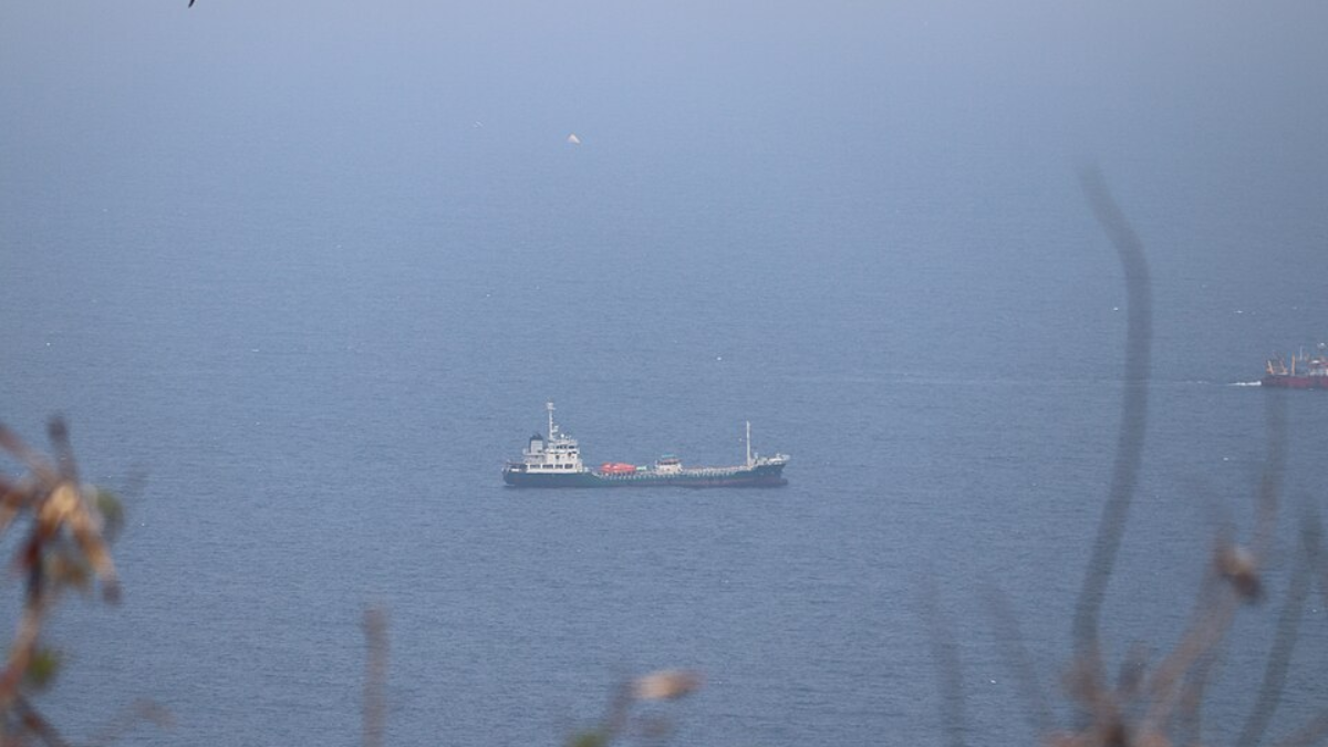 Cargo ship sinks in Bay of Bengal, Navy-Coast Guard race to rescue 24 crew
