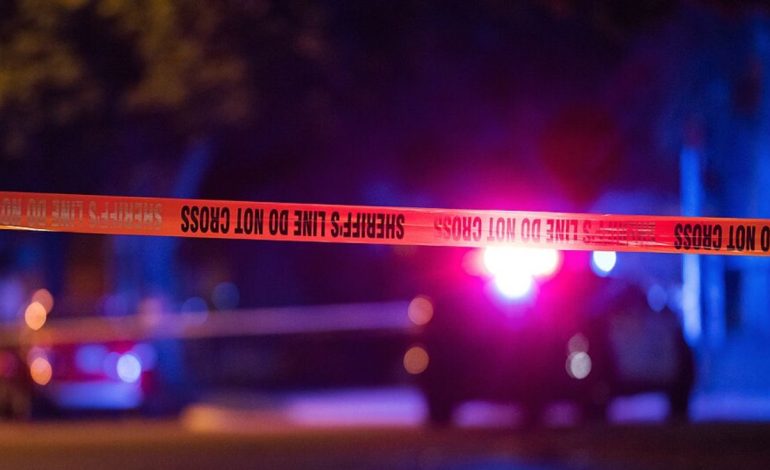 Indian-origin teen charged with mother, brother’s murders in US as investigators flag online searches