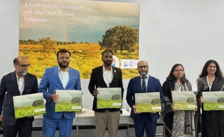 India puts grasslands on conservation map with first guide to open natural ecosystems