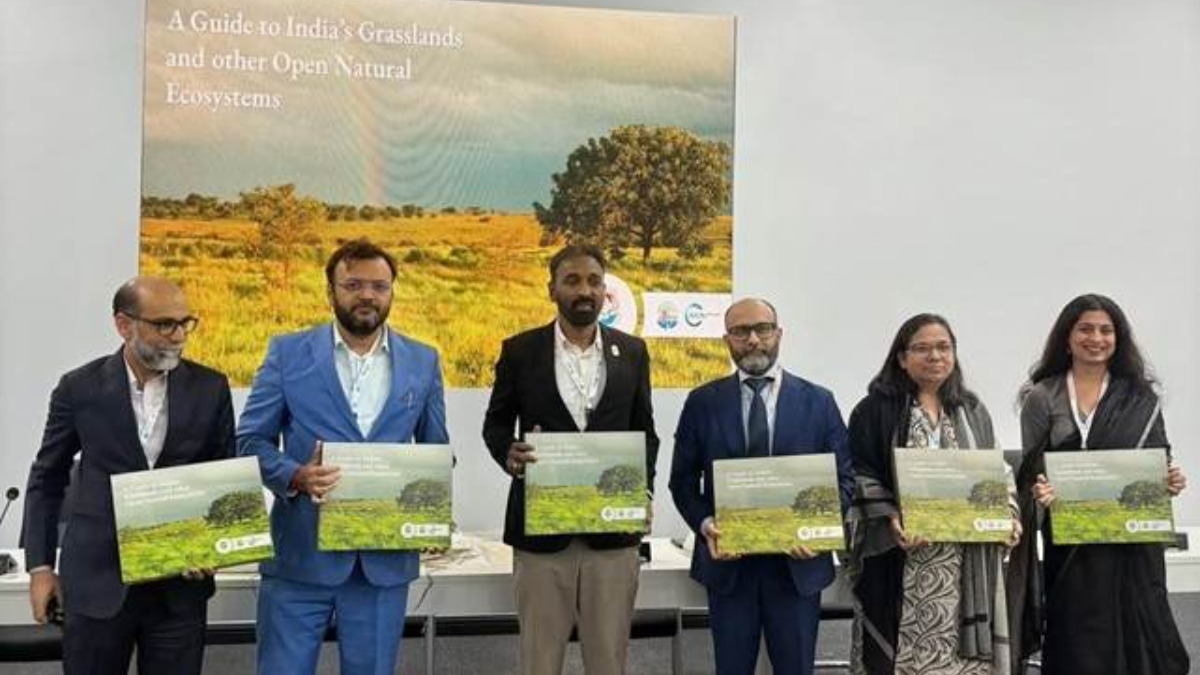 India puts grasslands on conservation map with first guide to open natural ecosystems