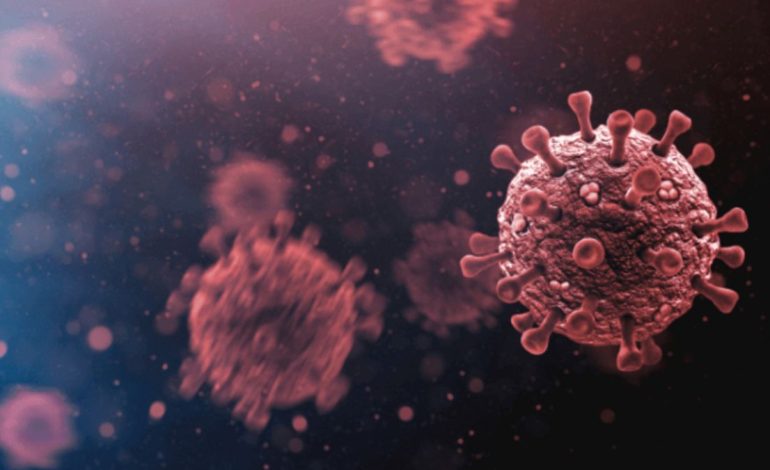 Chandipura virus outbreak in Gujarat: 25 deaths, 39 confirmed cases as experts probe spread