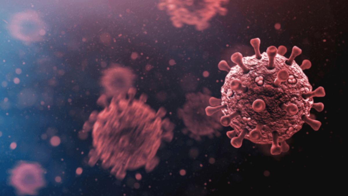 Chandipura virus outbreak in Gujarat: 25 deaths, 39 confirmed cases as experts probe spread