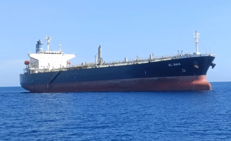India condemns attack on MT El Gaia off Oman as 13 Indian crew rescued, one missing