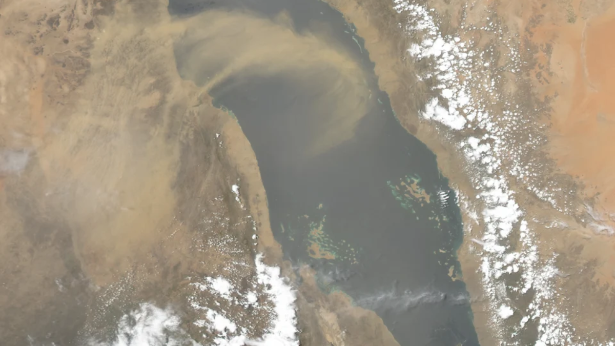 Houthis capture Mayun Island: Why the Red Sea chokepoint matters