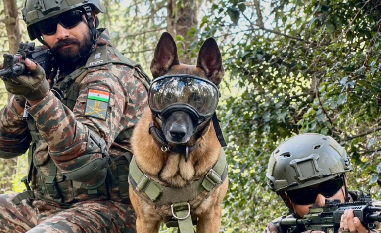 Yudh Abhyas 2026: Watch Indian Army canines in action with Indian, US troops