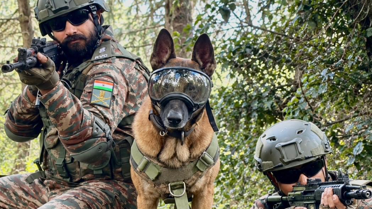 Yudh Abhyas 2026: Watch Indian Army canines in action with Indian, US troops