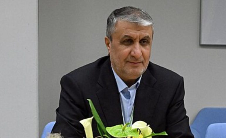 Austria blocks Iran nuclear chief from attending IAEA meeting, Tehran denounces move
