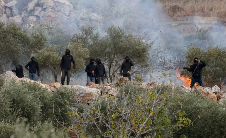 Israeli settlers attack Palestinians, burn olive groves, beat and injure US journalist as attacks engulf West Bank harvest