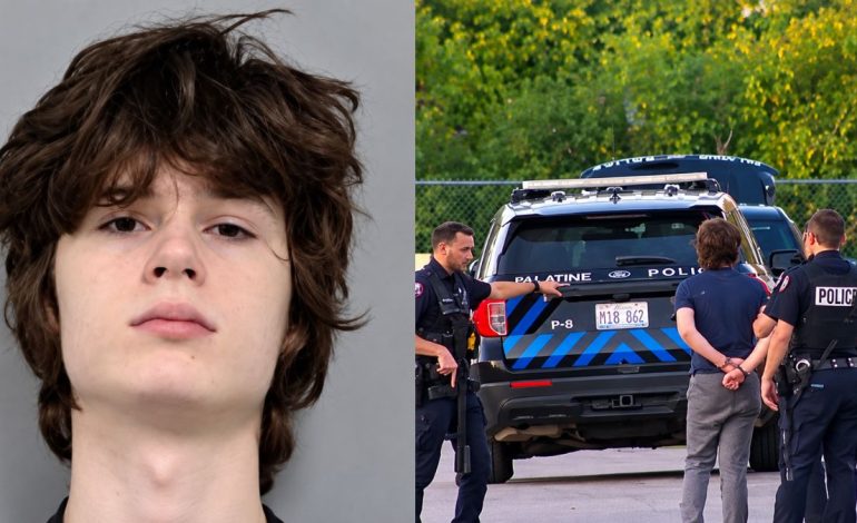 US teen held over alleged Hindu temple shooting plot in Illinois, rifle and ammunition seized