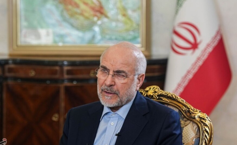 Iranian delegation to attend BRICS parliamentary forum in New Delhi without speaker Qalibaf