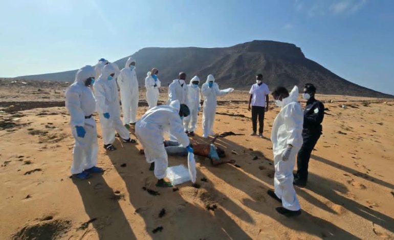Djibouti boat disaster leaves 139 migrants dead, 84 missing on route to Yemen