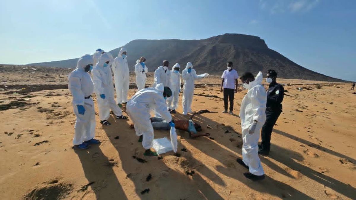 Djibouti boat disaster leaves 139 migrants dead, 84 missing on route to Yemen
